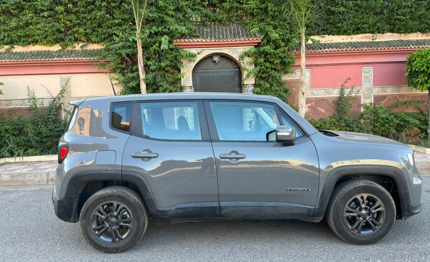 JEEP RENEGADE 01-2022